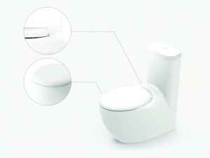 Rigel Technology Singapore Pebble Water Closet Sg Mark