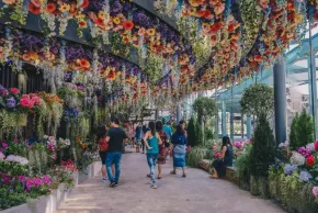 Floral Fantasy (Gardens by the Bay)