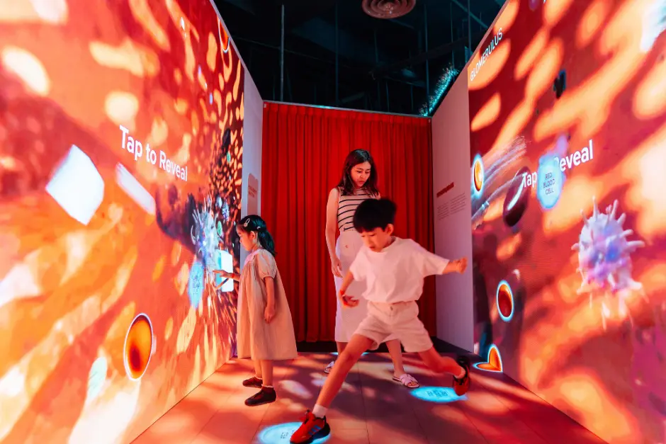 Kidney Discovery Centre