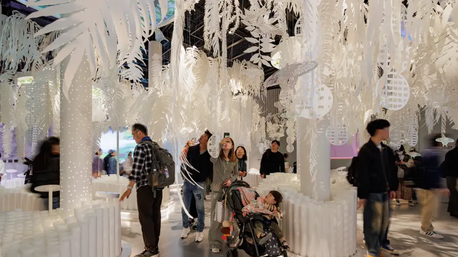 Singapore Pavilion EXPO 2025 Osaka, Kansai, Japan (The Dream Repository)