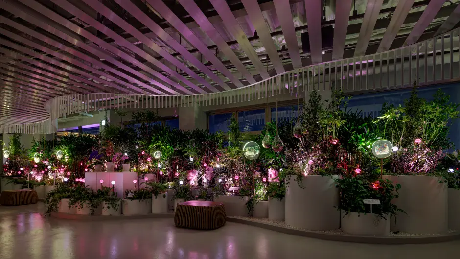 Singapore Pavilion EXPO 2025 Osaka, Kansai, Japan (The Dream Repository)