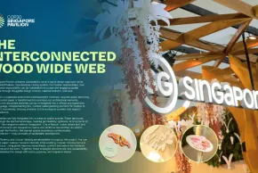 SINGAPORE PAVILION AT COP30 BELÉM, BRAZIL